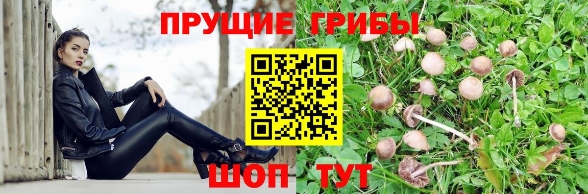 Псилоцибиновые грибы MAGIC MUSHROOMS Алексеевка