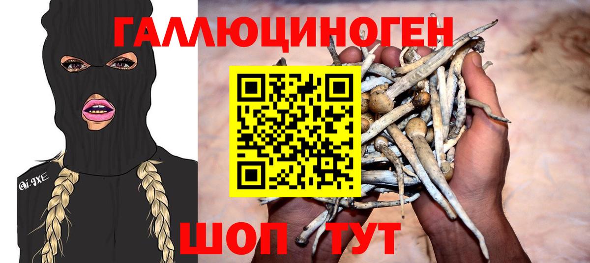 Псилоцибиновые грибы Cubensis  Псилоцибиновые грибы GOLDEN TEACHER  Вход с VPN  Алексеевка 